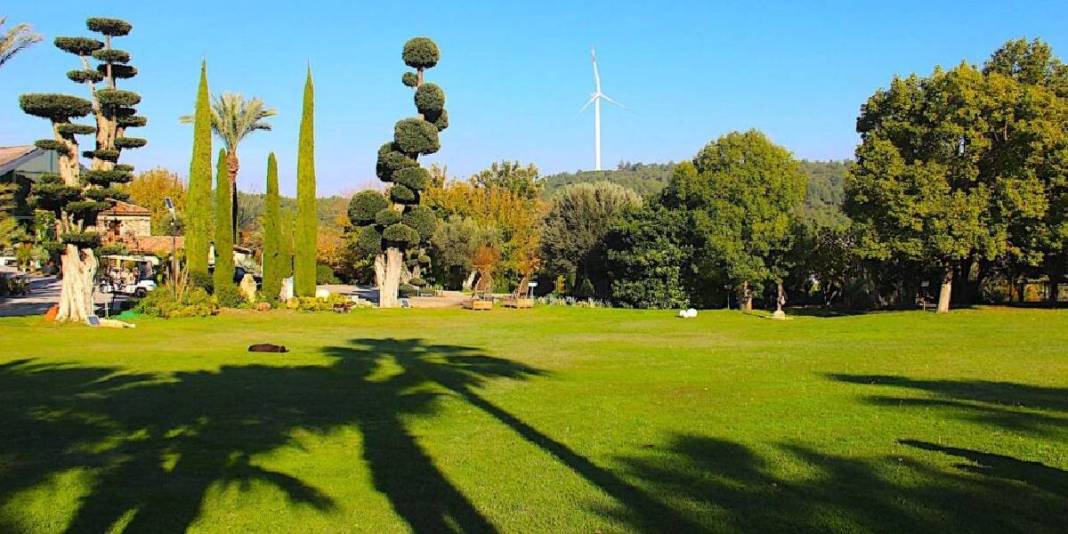 Ege’de saklı bir Avrupa! Zeytinliklerin arasında taş evli huzur köyü: Gideni büyülüyor 4